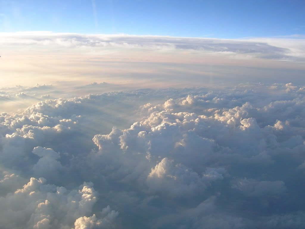 wallpaper_10610.jpg