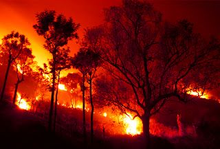  photo Forest-fire-Web_zps308fe9b5.jpg
