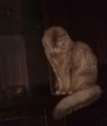 Ghost2.jpg
