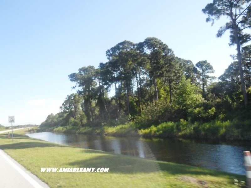 photo NASAParkwayandSpaceCommerceWay2_zps379a34c0.jpg