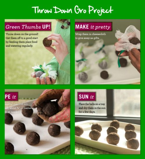 Throw Down Project by Miracle Gro