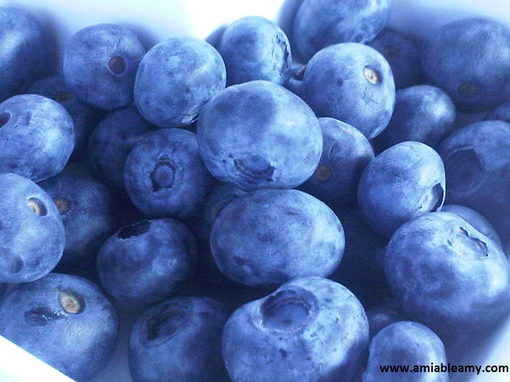 blueberry photo blueberry_zpseab5798c.jpg