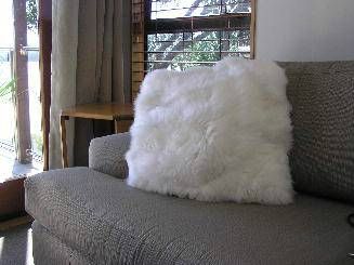photo woolcushioncovers_zpsf2854932.jpeg