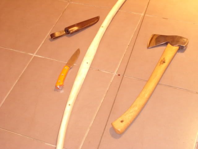 Picture1645.jpg