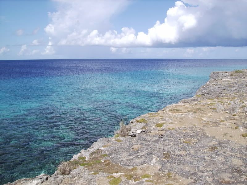 Bonaire1114-1.jpg