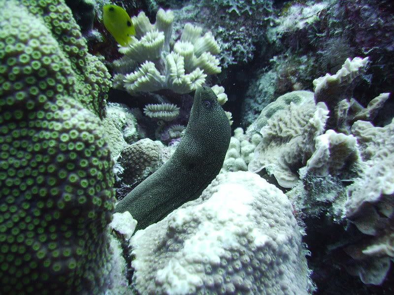 Bonaire1125.jpg