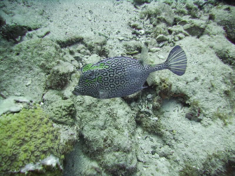 Bonaire1128-1.jpg