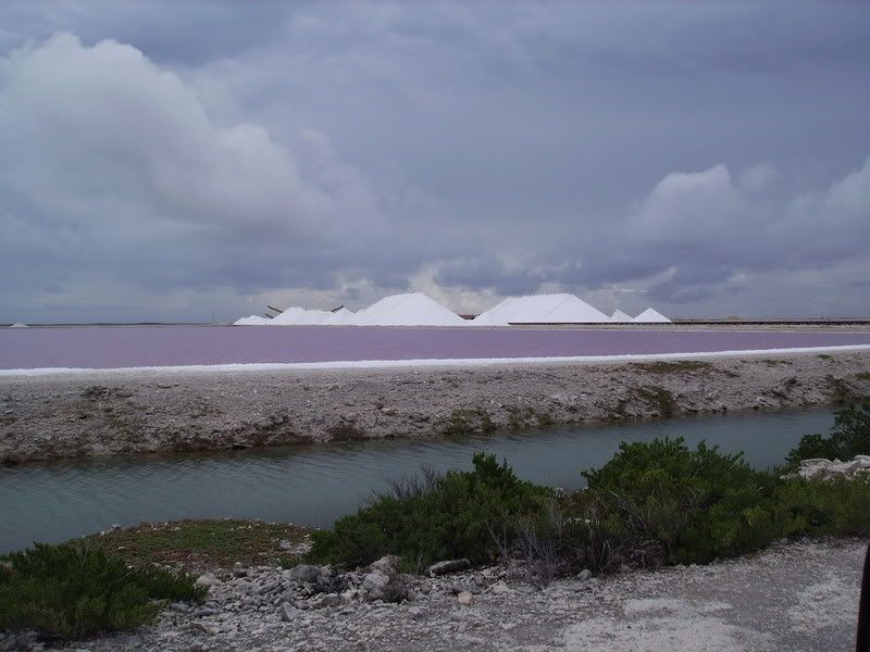 Bonaire1205.jpg
