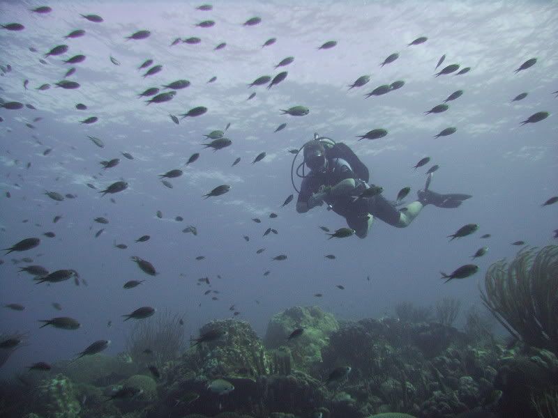 Bonaire2004.jpg