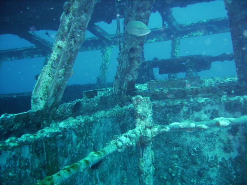 110208h2o025.jpg
