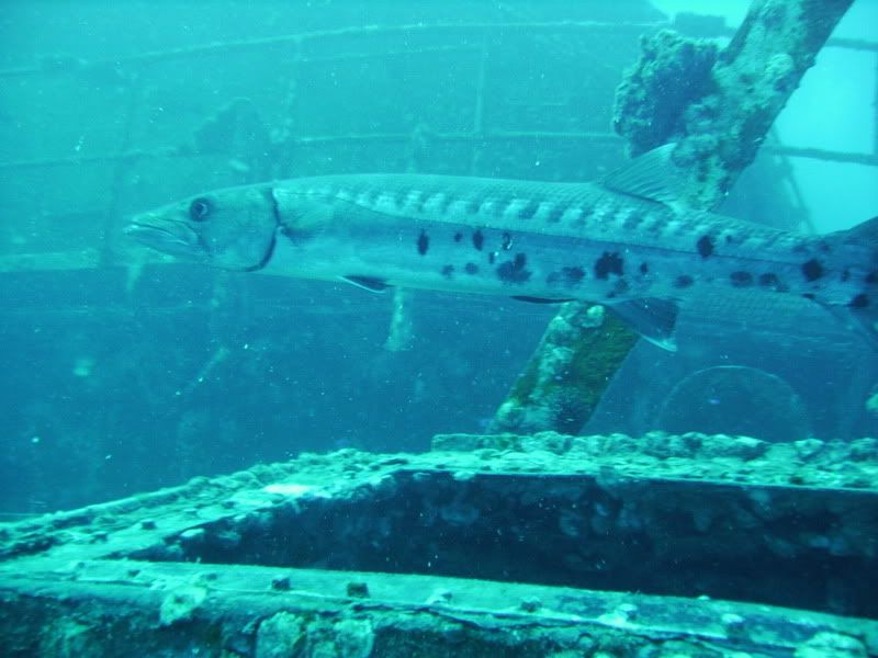 110208h2o040.jpg