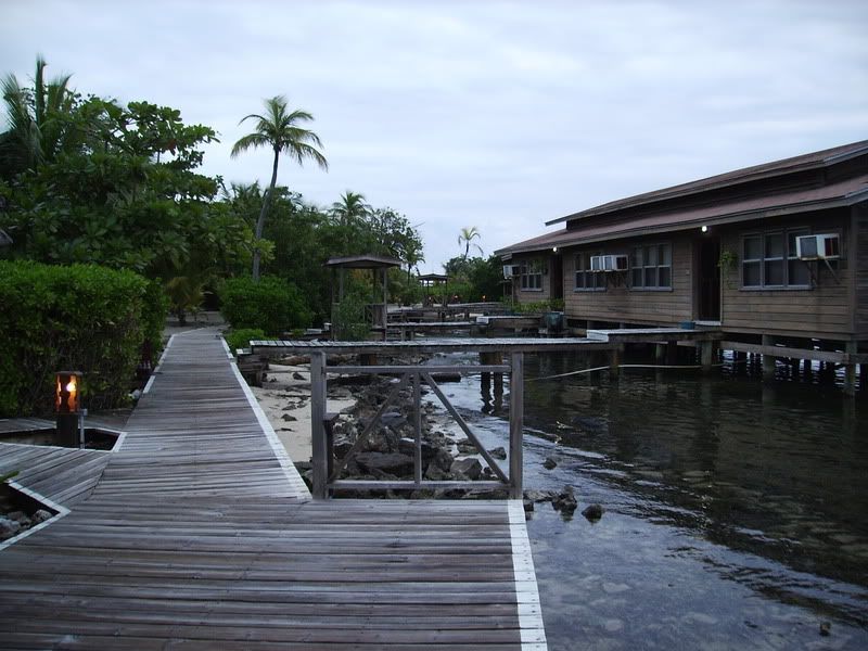 Roatan083.jpg