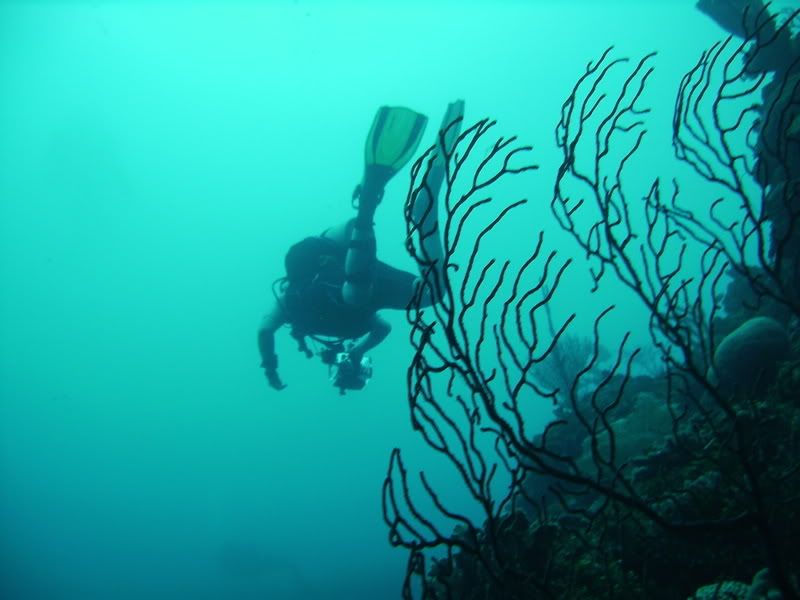 Roatan095.jpg