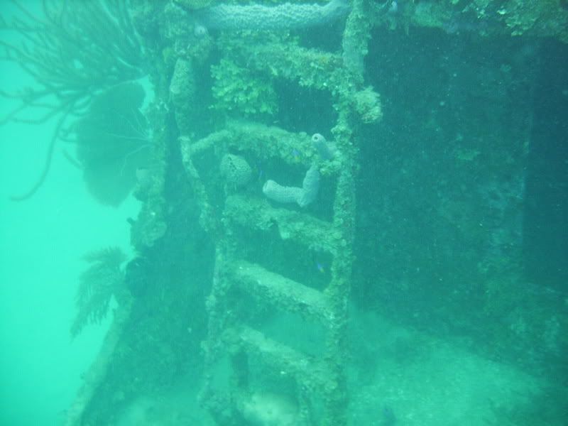 Roatan114.jpg