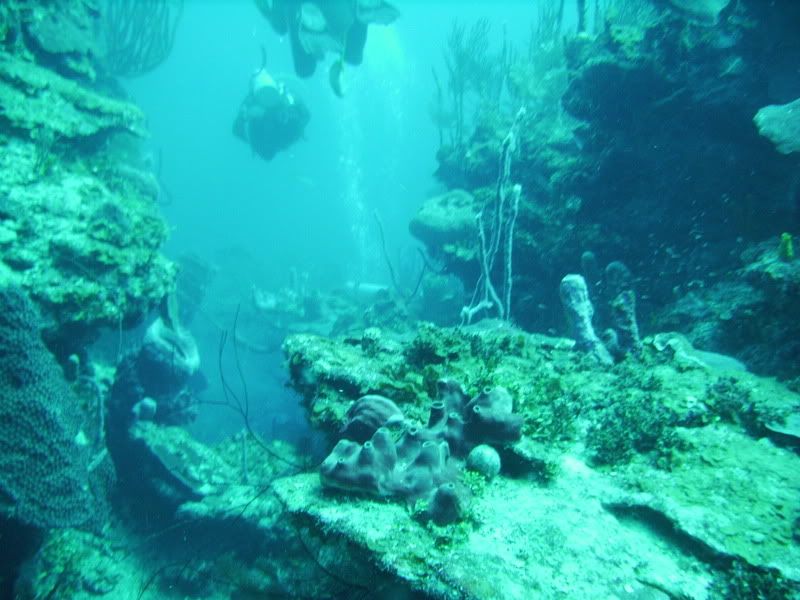 Roatan154.jpg