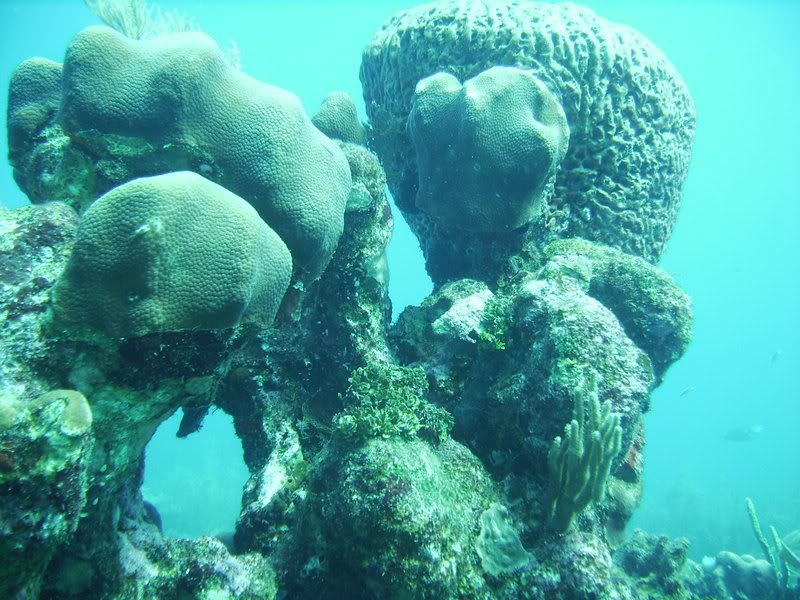 Roatan170.jpg