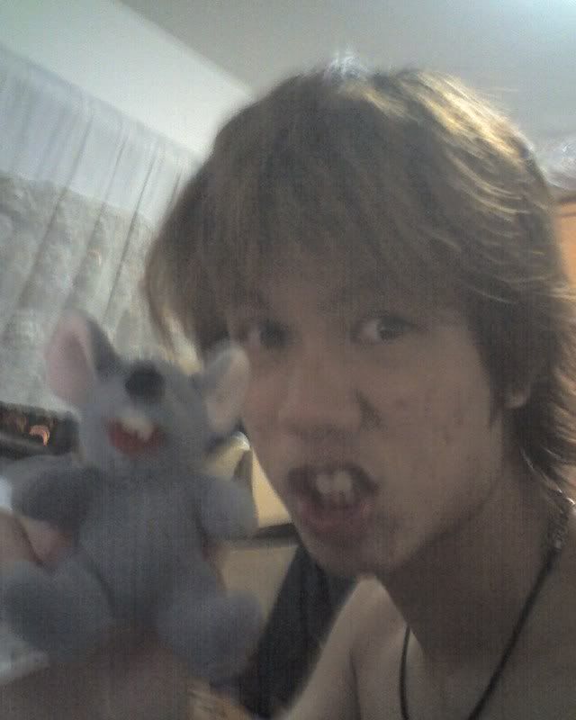 my mouse soft toy lol