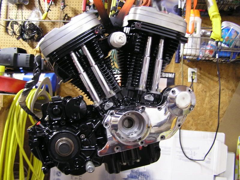 Chopped Cam/Sprocket Cover The Sportster and Buell Motorcycle Forum