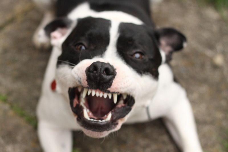 IMAGE: http://i114.photobucket.com/albums/n254/kins_300/mack.jpg