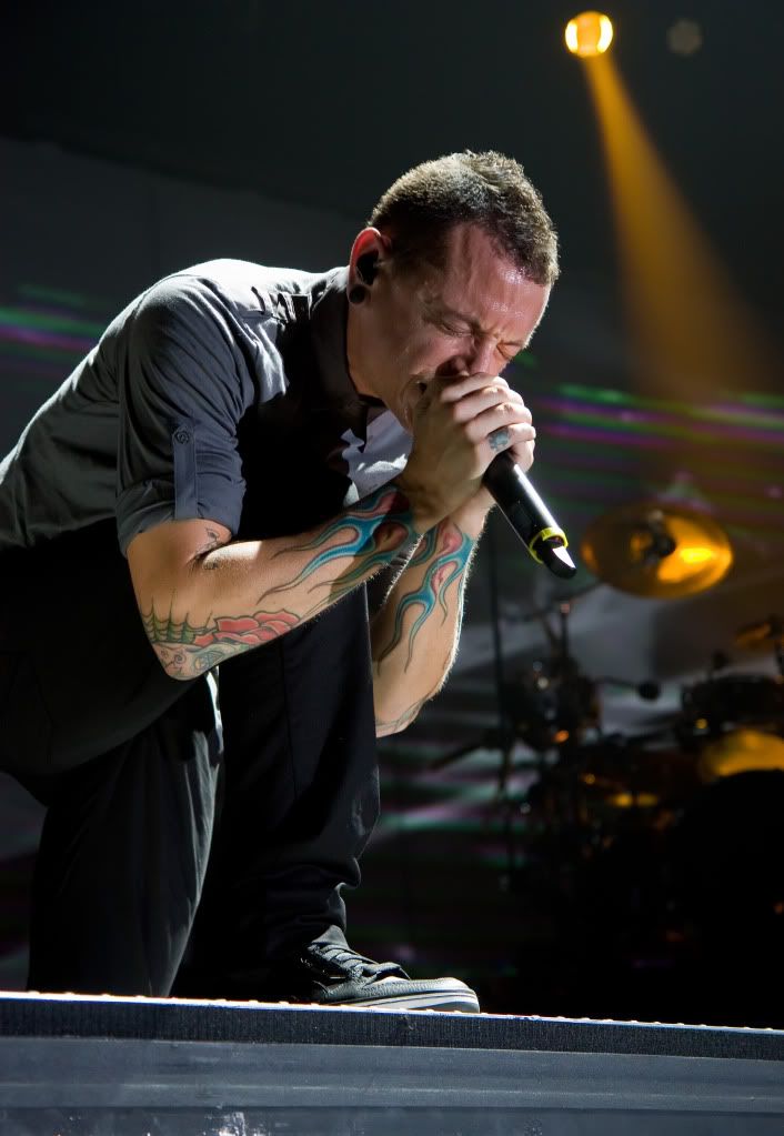 IMAGE: http://i114.photobucket.com/albums/n255/DON-T5/IMG_8808.jpg