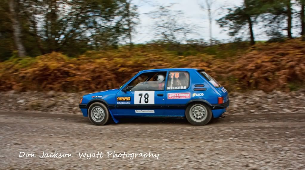 IMAGE: http://i114.photobucket.com/albums/n255/DON-T5/pug1.jpg