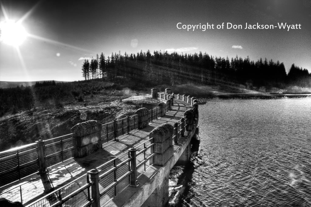 IMAGE: http://i114.photobucket.com/albums/n255/DON-T5/treeswm.jpg