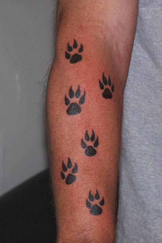 One of Chris Orsillo (Trapper) tattoos. The paw print is a bear paw.