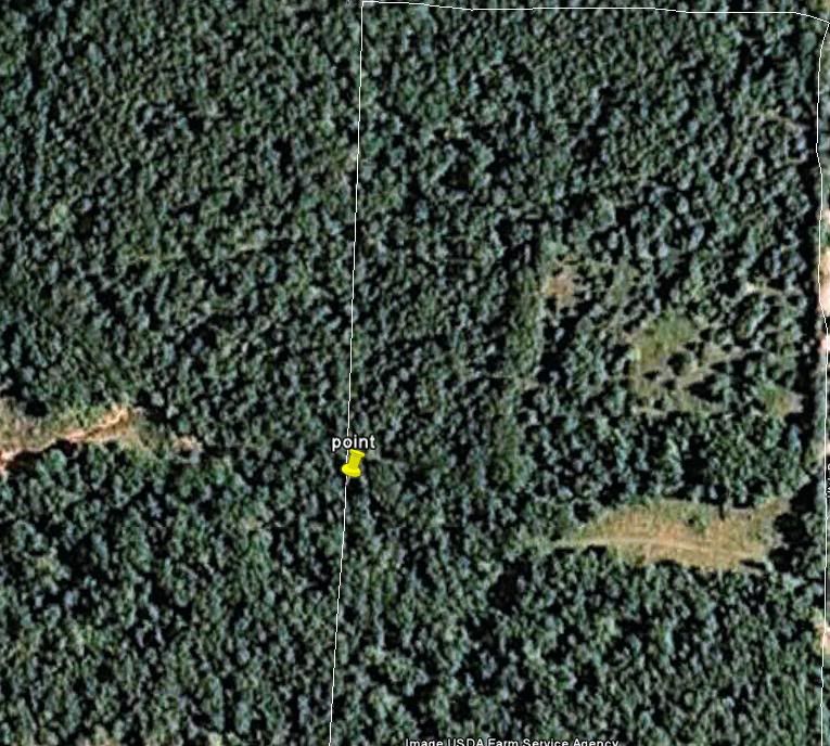 Google Earth Photo of Homestead - Homesteading Questions