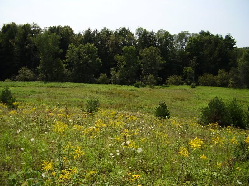 Let's see some pictures of your place... - Homesteading Questions