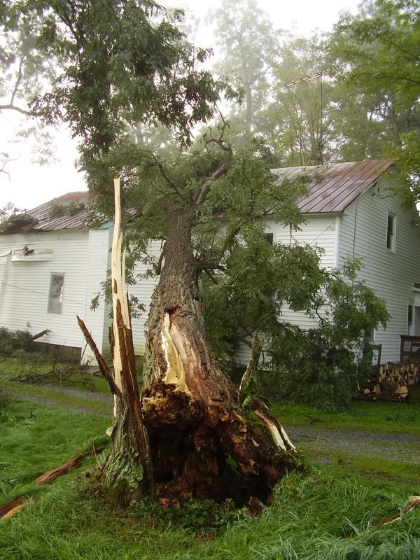 splitting wood by hand... wedge or grenade? - Homesteading Questions