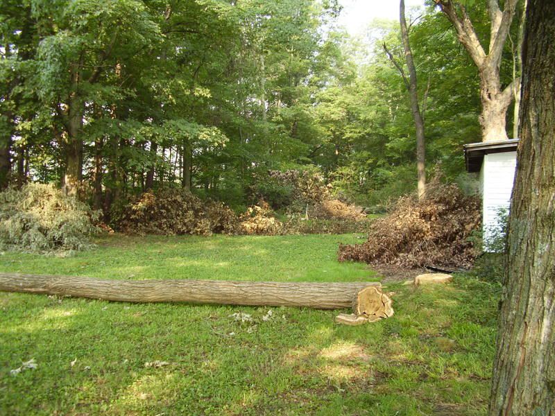splitting wood by hand... wedge or grenade? - Homesteading Questions