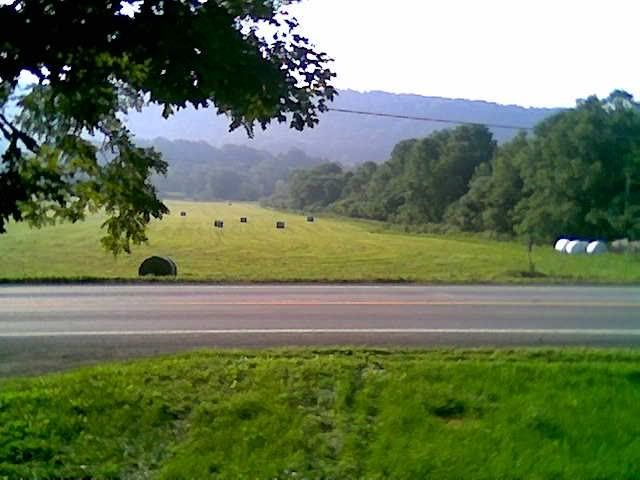 Let's see some pictures of your place... - Homesteading Questions