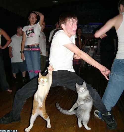 Cat_Dance_Off.jpg