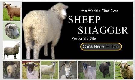 Sheep_Sig_2.jpg