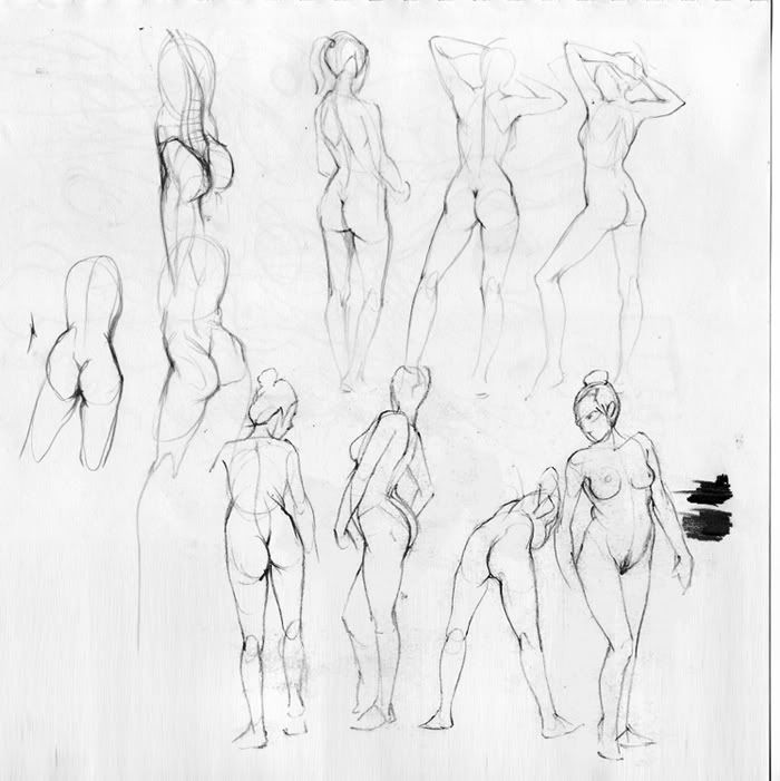 Spartan Camp #88 - 50 gestures + Optional Study of "Anatomy colour study" Spartan Camp #88 - 50 gestures + Optional Study of "Anatomy colour study"
