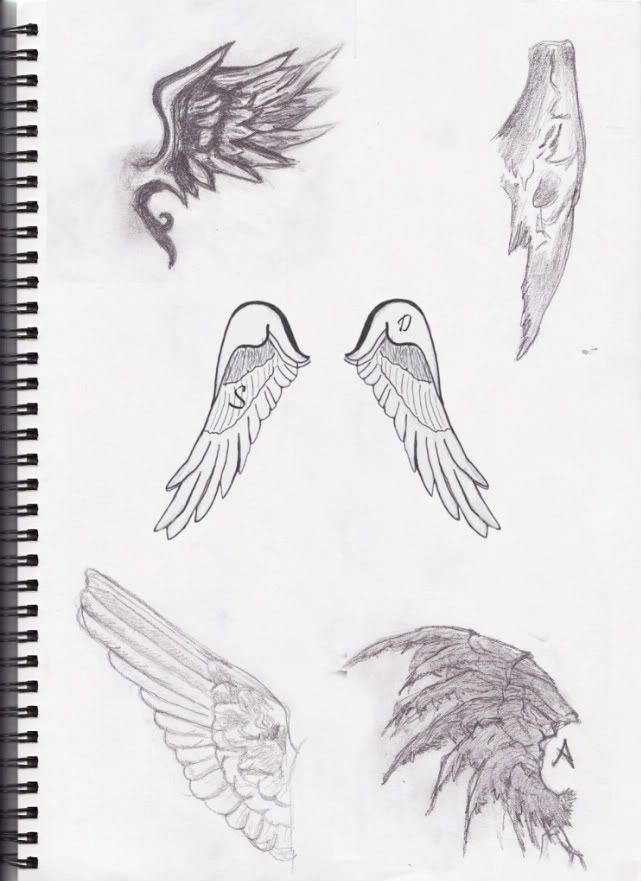 Wings Tattoo Design 4 Sketches 1 Sketches 2