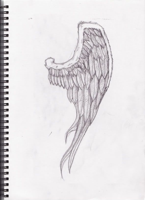 Wing tattoo design 1