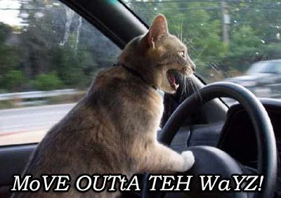 1 số hình ảnh vui vui khi lái xe ở Việt Nam ^^ - 2