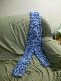 Special Olympics Scarf Project #4
