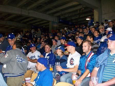 forlorn but brave cubs fans