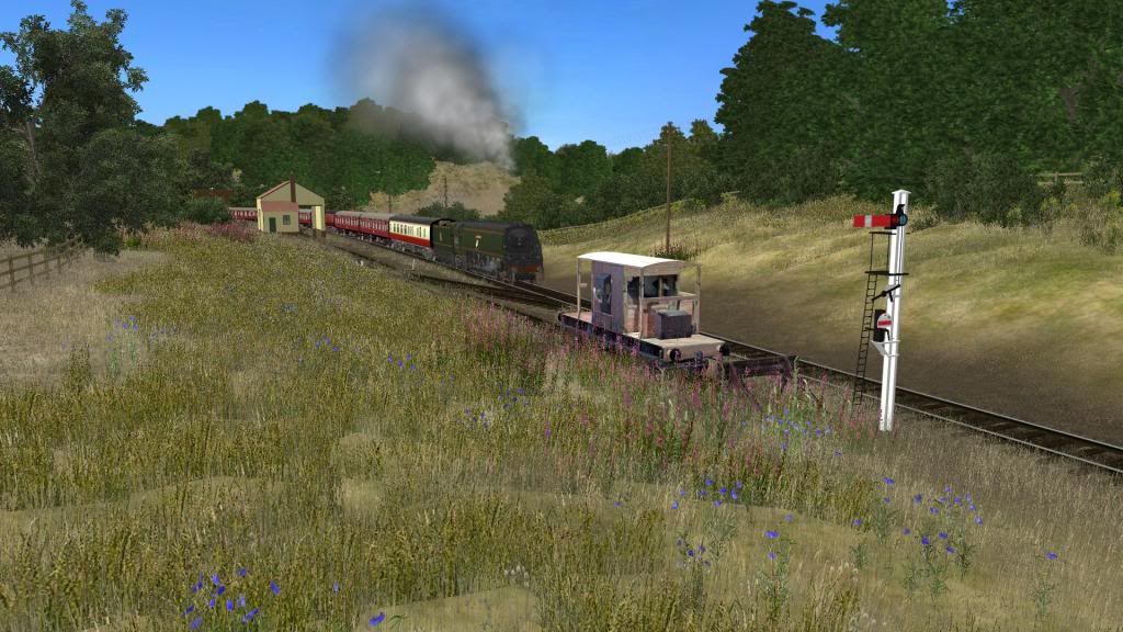 Brauntonexcursion03.jpg