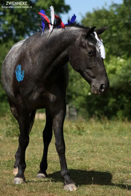 Afbeelding