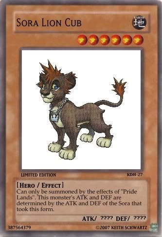 SoraLionCub.jpg