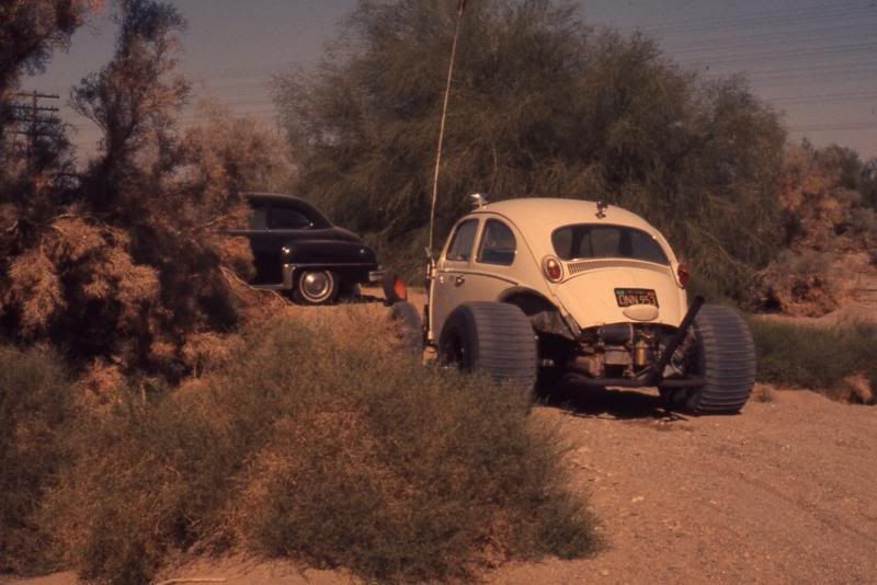 Image may have been reduced in size. Click image to view fullscreen.