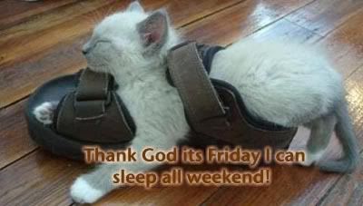 112059mubk66deqg.jpg thank god its friday image by mlatigger33