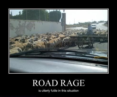 Funny redneck bmw road rage #7