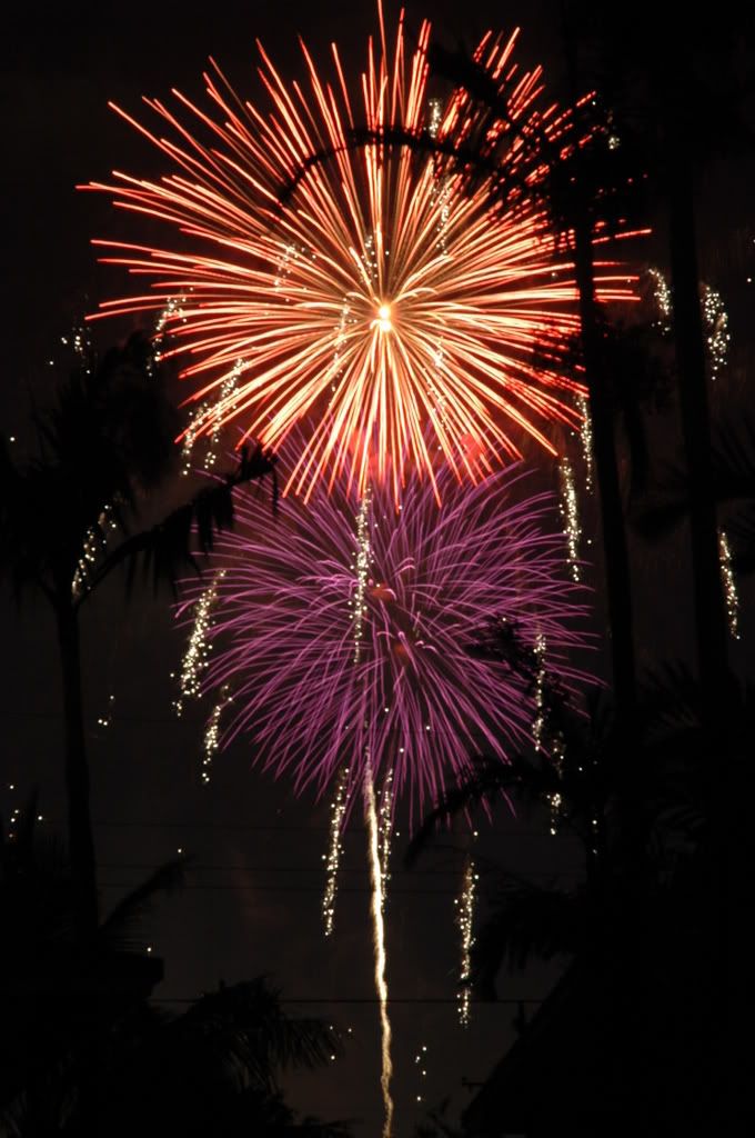 2006-07-04_20-11-14.jpg