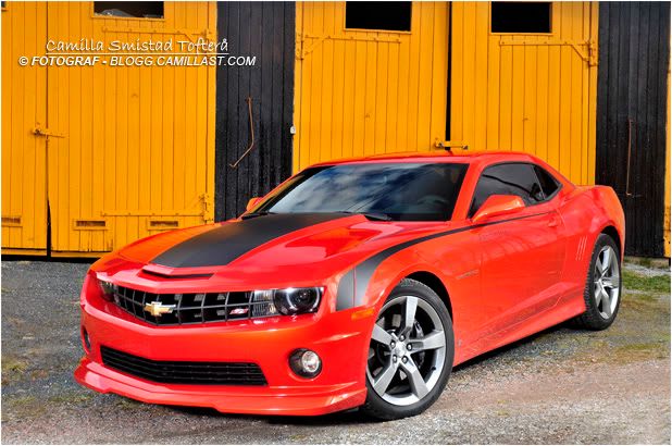 camaro camaro