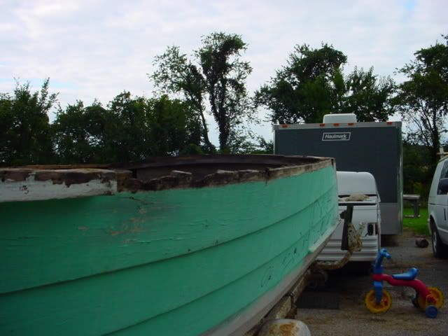 DSC03175.jpg