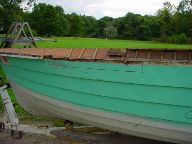 DSC03177.jpg